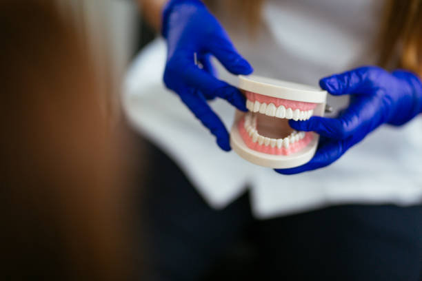 Best Dental Exams and Cleanings  in North Laurel, MD
